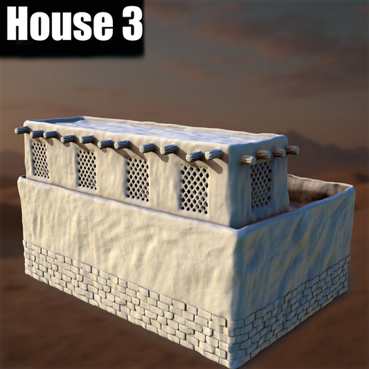Ancient Desert Village House #3