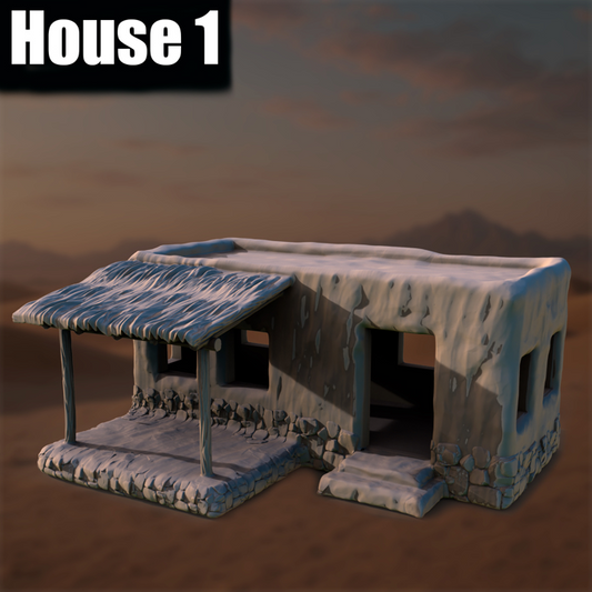 Ancient Desert Village House #1