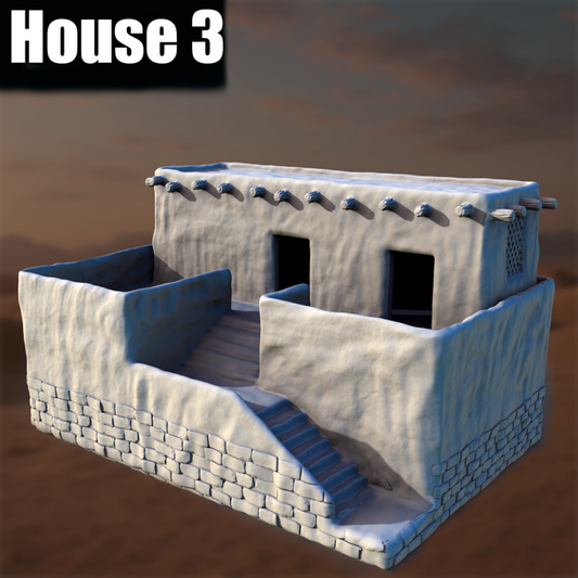 Ancient Desert Village House #3