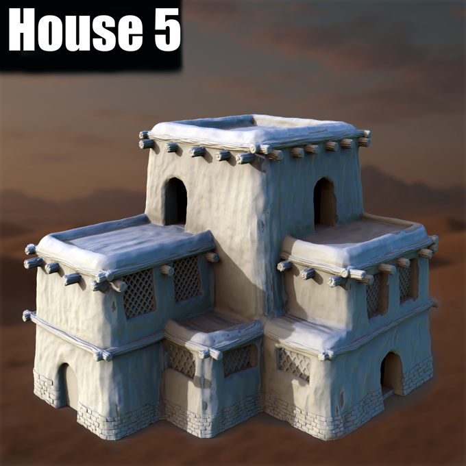 Ancient Desert Village House #5