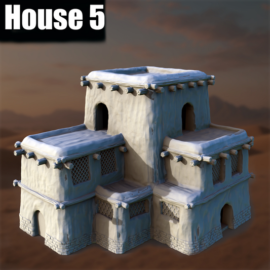 Ancient Desert Village House #5