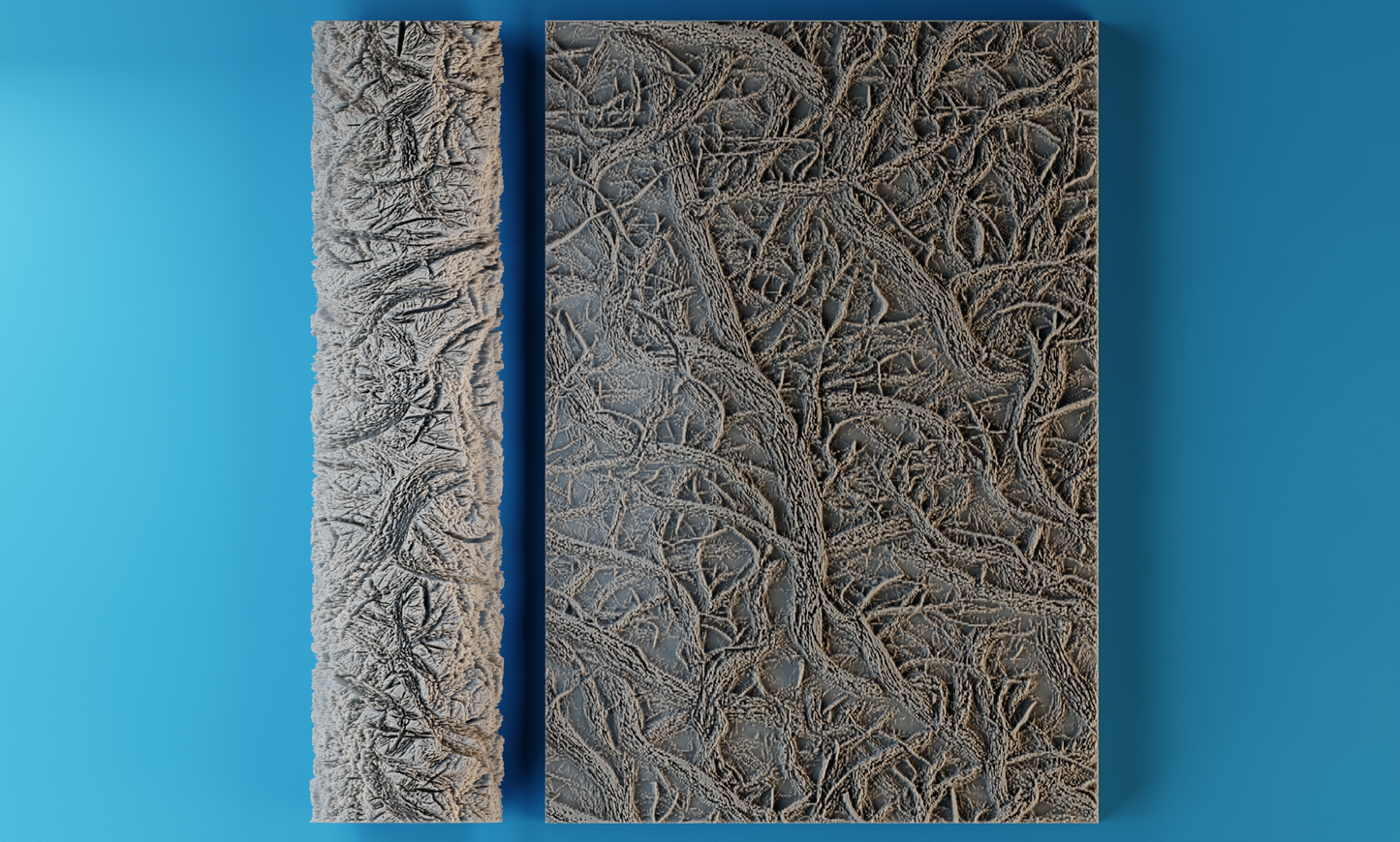 Organic #9
