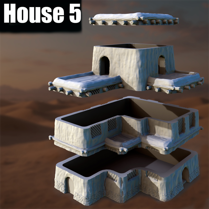 Ancient Desert Village House #5